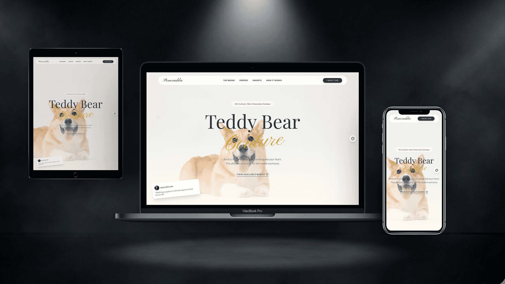 Pet Grooming Salon Website — Canine World design — Corporate exclusive website base preview