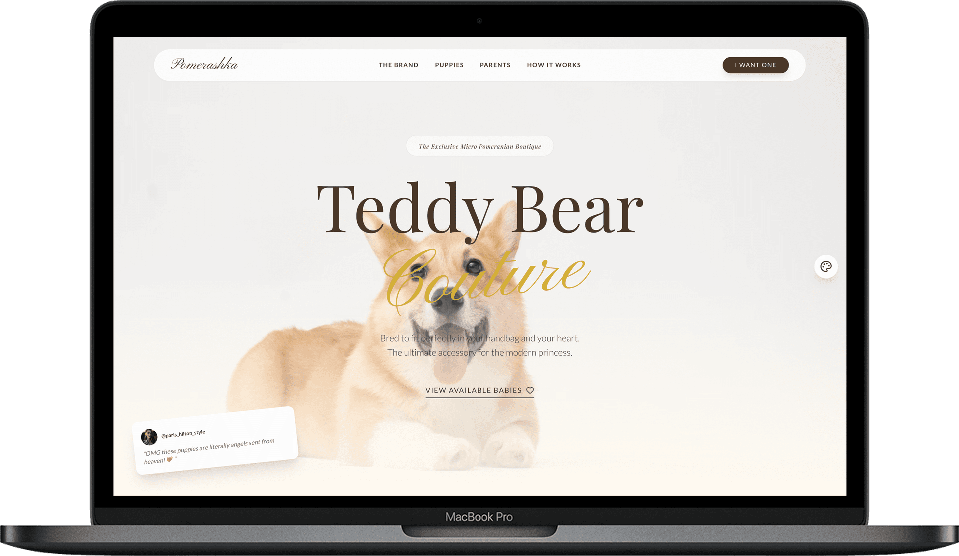 Pet Grooming Salon Website — Canine World design homepage preview